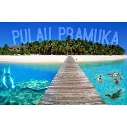 Outbound Pulau Pramuka